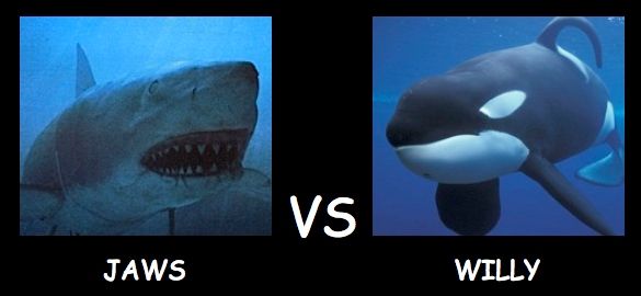 photo Jaws Vs Willy_zpsc3zqwrd5.jpg