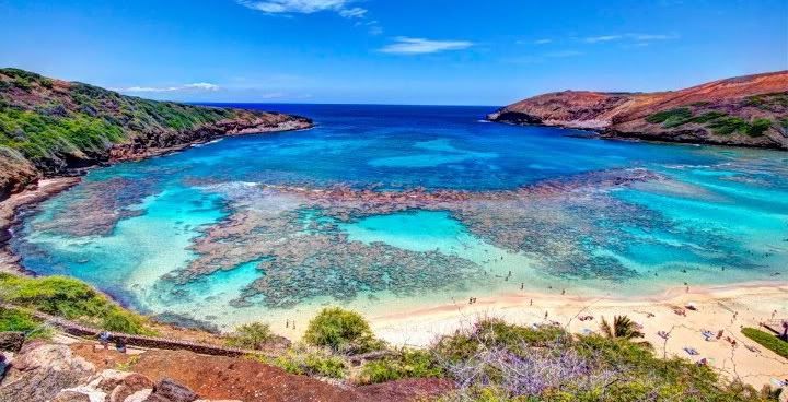 IMAGE: http://i312.photobucket.com/albums/ll326/Btelfer11/IMG_3008.jpg