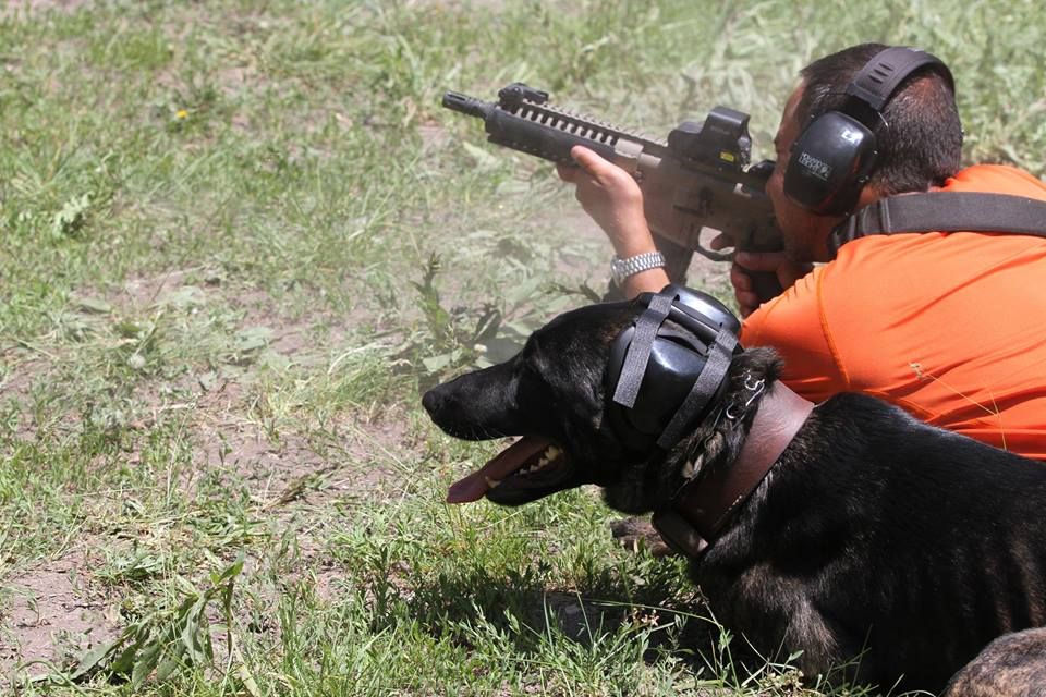 Ear protection for dogs Southern Airboat