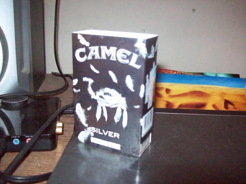 Camel Camel