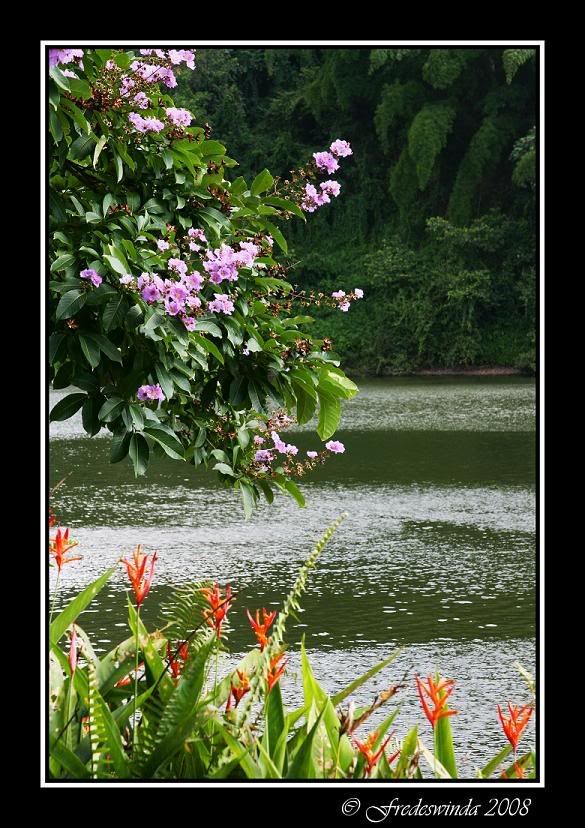 IMG_0718ab.jpg Tranquilidad image by Fredesv