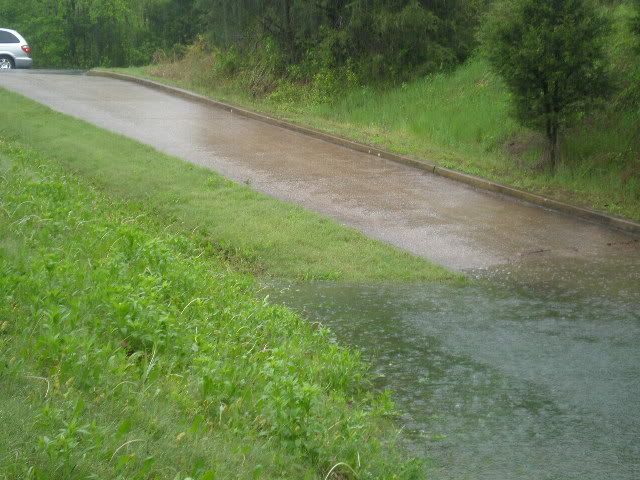 P1010672.jpg