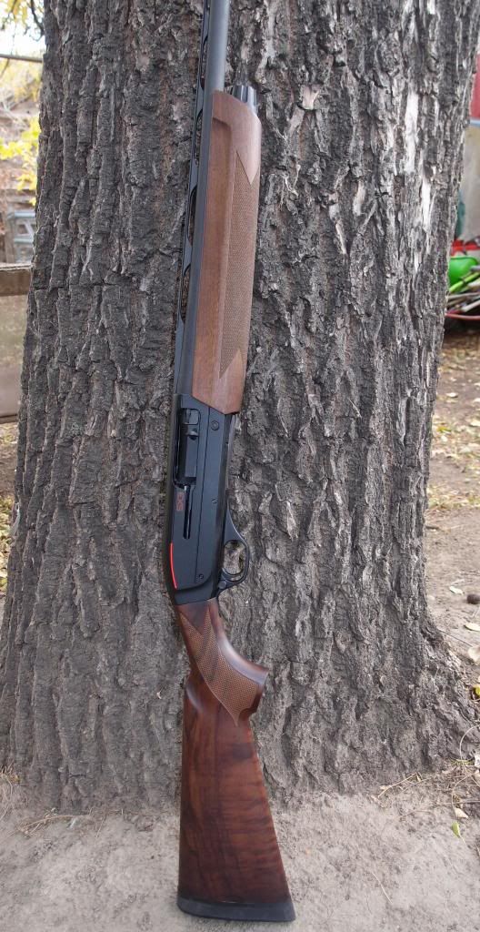 Winchester SX3 Rimfire Central Firearm Forum