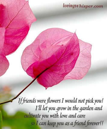 friendship Pictures, Images and Photos