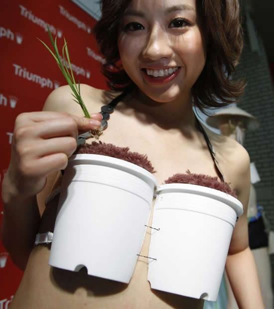 Japanese-rice-bra.jpg