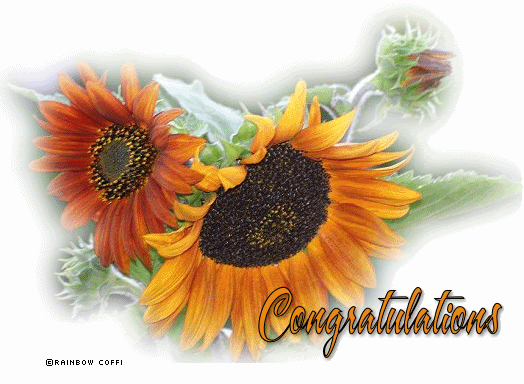 congratulations8gif.gif